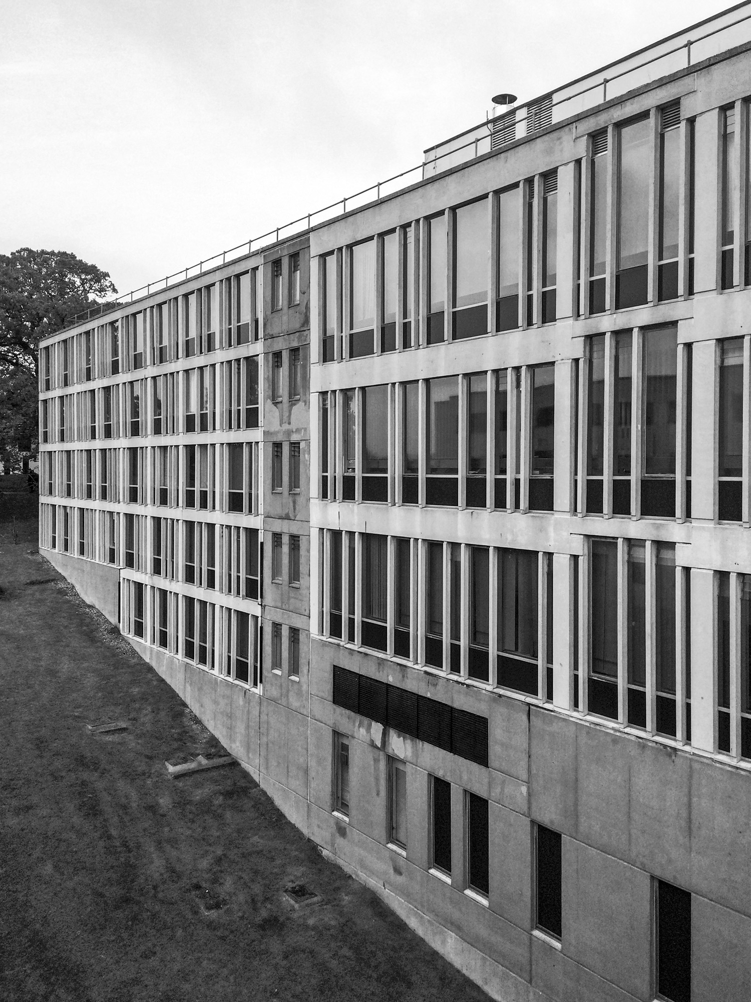 simon_phipps_essex_university_05