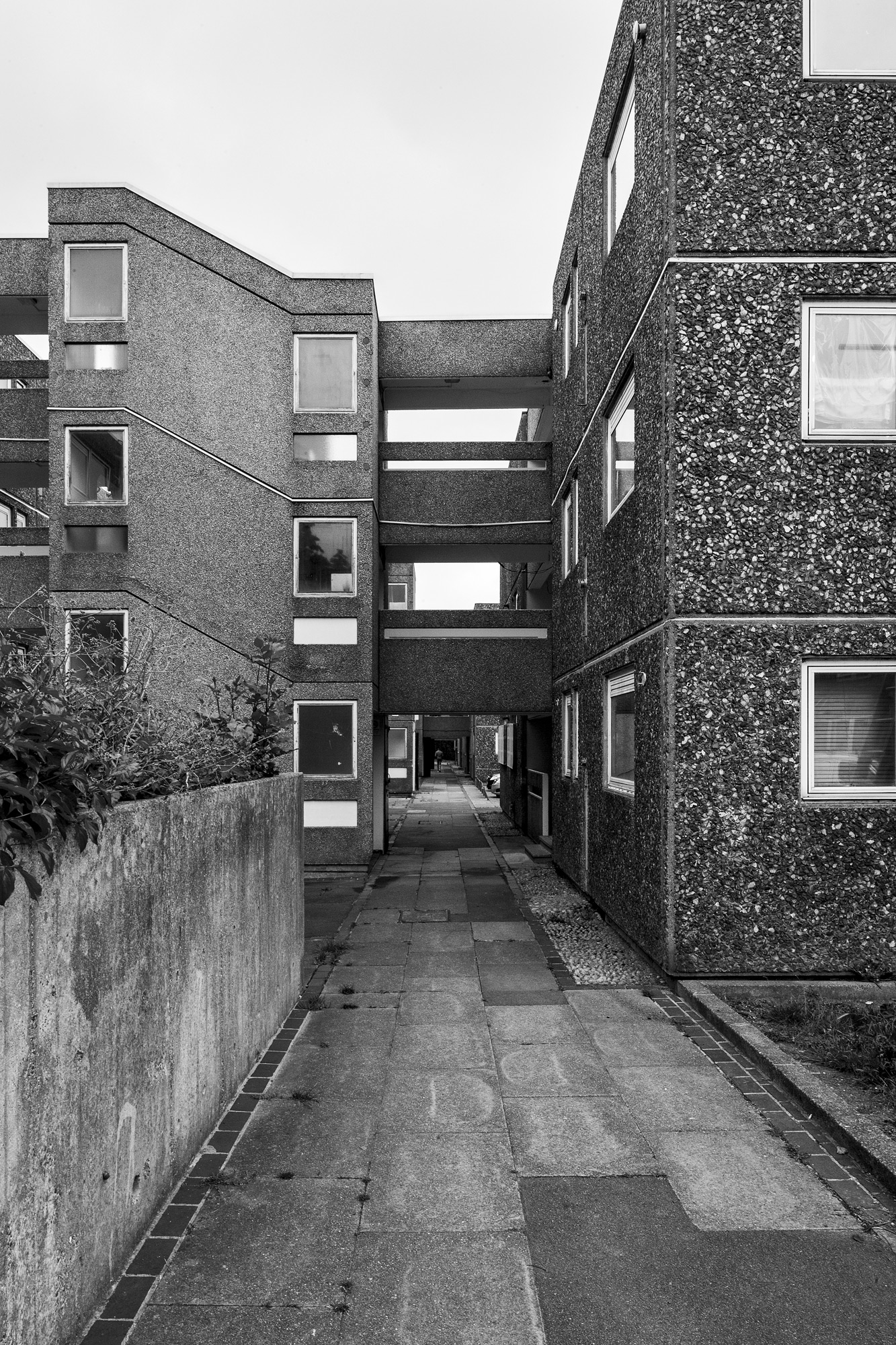 simon_phipps_morris_walk_02