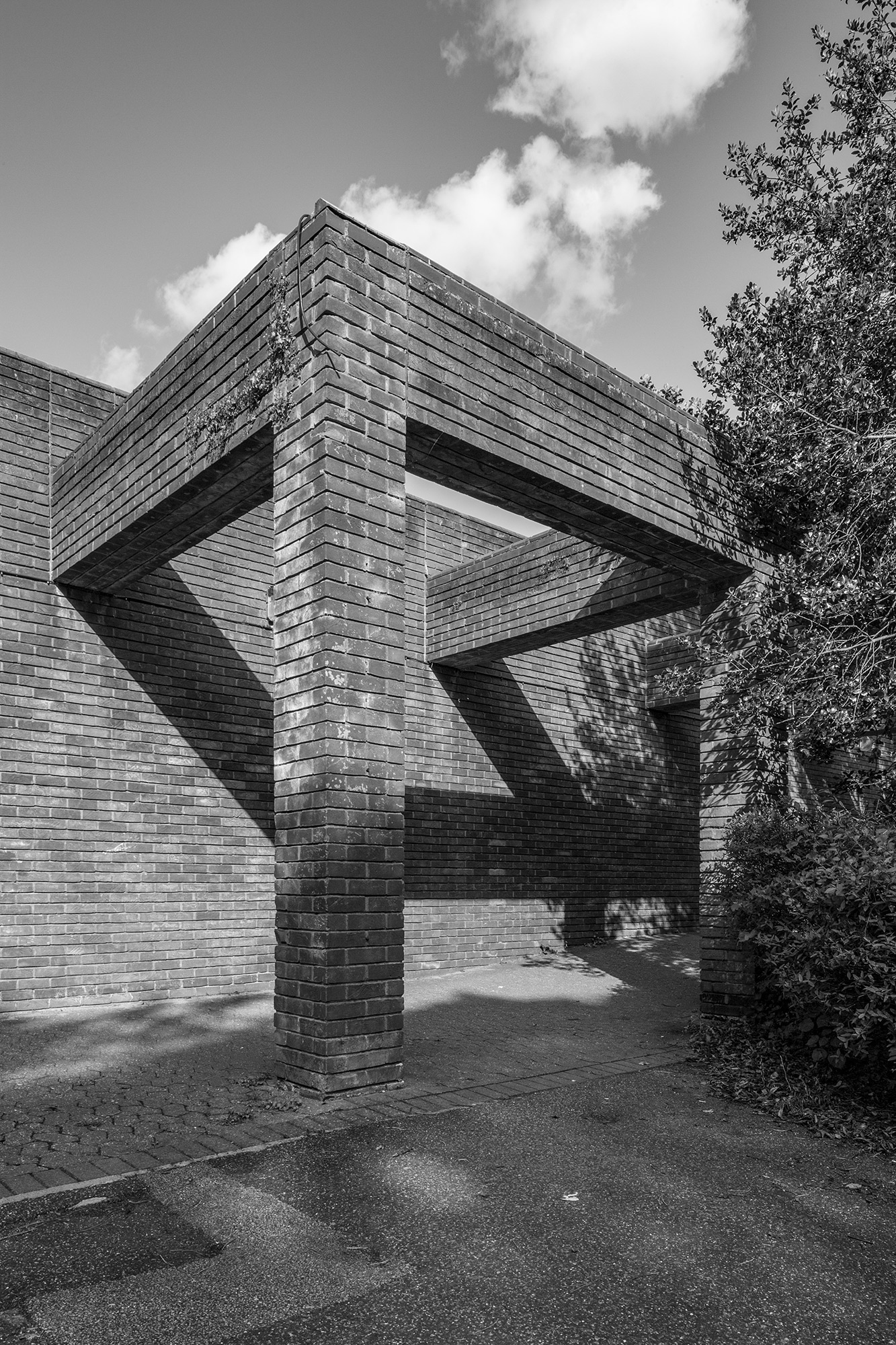 simon_phipps_cofferidge_close_6